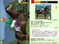 カード ホースレーシング まとめ ロングカイウン メイショウジェニエ オンワードアトゥ ギャロップダイナ スエヒロジョウオー メジロファントム タケノベルベット マティリアル フサイチシンイチ 競馬 馬 バンダイ bandai サムネイル 9