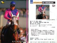 カード ホースレーシング まとめ ロングカイウン メイショウジェニエ オンワードアトゥ ギャロップダイナ スエヒロジョウオー メジロファントム タケノベルベット マティリアル フサイチシンイチ 競馬 馬 バンダイ bandai サムネイル 3
