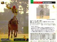 カード ホースレーシング まとめ ロングカイウン メイショウジェニエ オンワードアトゥ ギャロップダイナ スエヒロジョウオー メジロファントム タケノベルベット マティリアル フサイチシンイチ 競馬 馬 バンダイ bandai サムネイル 5