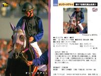 カード ホースレーシング まとめ ロングカイウン メイショウジェニエ オンワードアトゥ ギャロップダイナ スエヒロジョウオー メジロファントム タケノベルベット マティリアル フサイチシンイチ 競馬 馬 バンダイ bandai サムネイル 4