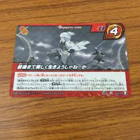 カード トレカ まとめ ミラクルバトル カードダス ミラバト 銀時 坂田 銀時 桂 小太郎 非売品 プロモ 67 サムネイル 7