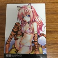 ハーレムゲイン カード まとめ 南国のテトラ 南国のハリミャウ 26 サムネイル 2