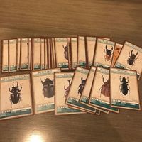 送料無料 ガタバイト カード クワガタ gatabite まとめ 昆虫 ペラルスマル キラ 検 ムシキング k013 0920 o20-1 サムネイル 7