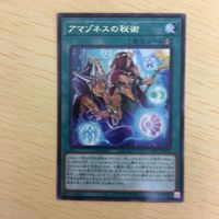 遊戯王 字レア カード トレーディングカード アマゾネスの秘術 まとめ サムネイル 4