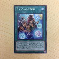 遊戯王 字レア カード トレーディングカード アマゾネスの秘術 まとめ サムネイル 3