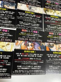 東京JUNK BIBLOS SELECTION カード まとめ 非売品 限定 キラ BL ビブロス ひちわゆか 東京ジャンク サムネイル 6