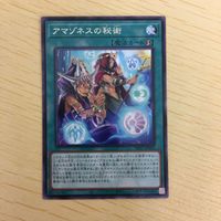 遊戯王 字レア カード トレーディングカード アマゾネスの秘術 まとめ サムネイル 4