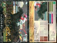 カード ホースレーシング まとめ パッションダンス 農林 ミッキーアイル クイーンズリング サトノノブレス レーヴミストラル ストレイトガール シュンドルボン トウショウドラフタ 競馬 馬 EPOCH 2017 サムネイル 9