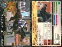 カード ホースレーシング まとめ パッションダンス 農林 ミッキーアイル クイーンズリング サトノノブレス レーヴミストラル ストレイトガール シュンドルボン トウショウドラフタ 競馬 馬 EPOCH 2017 サムネイル 8