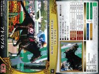 カード ホースレーシング まとめ マキシマムドパリ トーキングドラム アメリカズカップ アドミラブル アルアイン レイデオロ マルターズアポジー キョウヘイ シャケトラ 競馬 馬 EPOCH サムネイル 5