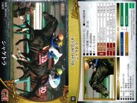 カード ホースレーシング まとめ マキシマムドパリ トーキングドラム アメリカズカップ アドミラブル アルアイン レイデオロ マルターズアポジー キョウヘイ シャケトラ 競馬 馬 EPOCH サムネイル 10