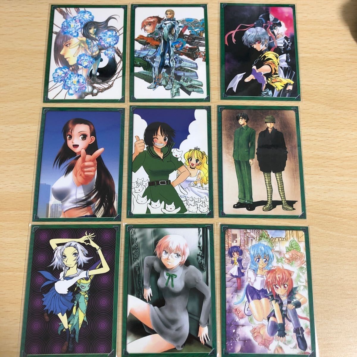 非売品 応募者 サービス 抽選 抽プレ プレゼント 不死者あぎと 魔法少女猫たると ねこねこ隊が行く STREGA! 天獄 傀儡戯 カーレイヒ