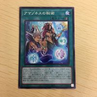 Yu-Gi-Oh Amazoness Secret Rare Card Lot Japanese TCG サムネイル 4