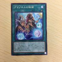 Yu-Gi-Oh Amazoness Secret Rare Card Lot Japanese TCG サムネイル 3