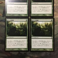 MTG マジックザギャザリング カード まとめ TSP 狩りの興奮/Thrill of the Hunt 4枚セット 82 サムネイル 2