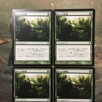 MTG マジックザギャザリング カード まとめ TSP 狩りの興奮/Thrill of the Hunt 4枚セット 82 サムネイル 3