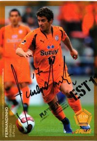 Fernandinho Japan Football Soccer Autograph Calbee Card