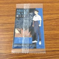カード トレカ まとめ 新世紀 エヴァンゲリオン エヴァ 未開封 日向 マコト 葛城 ミサト 碇 シンジ 6 サムネイル 10