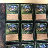 緑 型番統一 16枚 エルフの案内 Elvish Guidance MTG 旧枠 まとめ 日本語 英語版 JP EN ONS オンスロート サムネイル 2