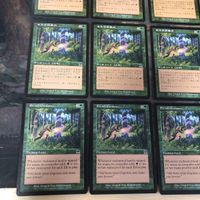緑 型番統一 16枚 エルフの案内 Elvish Guidance MTG 旧枠 まとめ 日本語 英語版 JP EN ONS オンスロート サムネイル 4