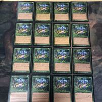 緑 型番統一 16枚 エルフの案内 Elvish Guidance MTG 旧枠 まとめ 日本語 英語版 JP EN ONS オンスロート