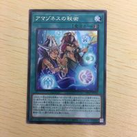 遊戯王 字レア カード トレーディングカード アマゾネスの秘術 まとめ サムネイル 5