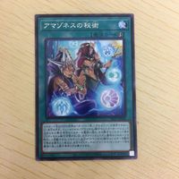 遊戯王 字レア カード トレーディングカード アマゾネスの秘術 まとめ サムネイル 3