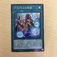 遊戯王 字レア カード トレーディングカード アマゾネスの秘術 まとめ サムネイル 5
