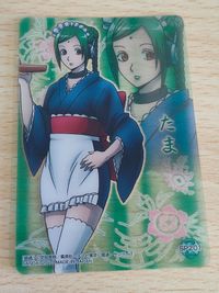 Gintama SP201 Clear Collection Card Japanese
