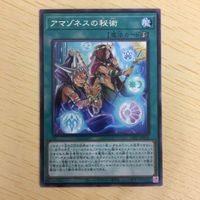 遊戯王 字レア カード トレーディングカード アマゾネスの秘術 まとめ サムネイル 4