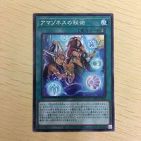遊戯王 字レア カード トレーディングカード アマゾネスの秘術 まとめ サムネイル 3