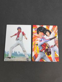Kamen Rider Card Calbee Magazine Z Sky Rider X
