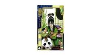 三国志大戦 三国志 カード キラ レア スーパーレア など 漫画家 san49 san34 san5 san37 サムネイル 2