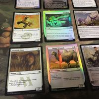 白 優良 Foil 被り無しコレクション 9枚 MTG まとめ 夜明けヒラメ 白たてがみのライオン サムネイル 4