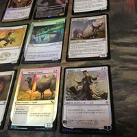 白 優良 Foil 被り無しコレクション 9枚 MTG まとめ 夜明けヒラメ 白たてがみのライオン サムネイル 5