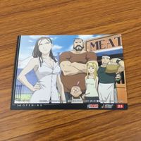 カード トレカ まとめ 鋼の錬金術師 ハガレン カードダスマスターズ ロイ リザ ウィンリィ ヒューズ アル エド 13 サムネイル 10