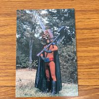 変身ヒーロー スナック カード まとめ 秘密戦隊 ゴレンジャー 19 サムネイル 6
