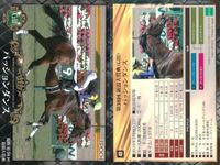 カード ホースレーシング まとめ スマートオーディン ストレイトガール オジュウチョウサン マカヒキ パッションダンス ルージュバック アウォーディー ウインプリメーラ パッションダンス 競馬 馬 EPOCH 2017 サムネイル 10