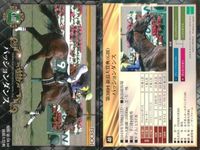 カード ホースレーシング まとめ スマートオーディン ストレイトガール オジュウチョウサン マカヒキ パッションダンス ルージュバック アウォーディー ウインプリメーラ パッションダンス 競馬 馬 EPOCH 2017 サムネイル 6