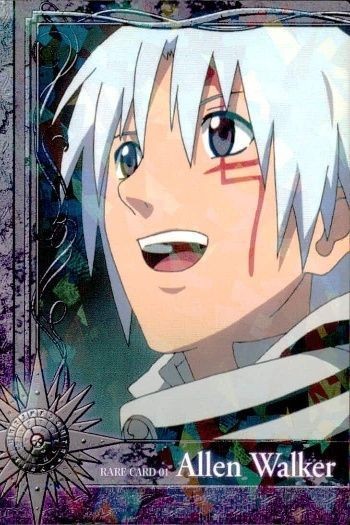 カード ディーグレイマン Dグレ D.gray-man ストーリー カード レア R アレンウォーカー 019 19 TCG