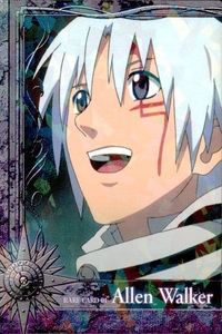 カード ディーグレイマン Dグレ D.gray-man ストーリー カード レア R アレンウォーカー 019 19 TCG