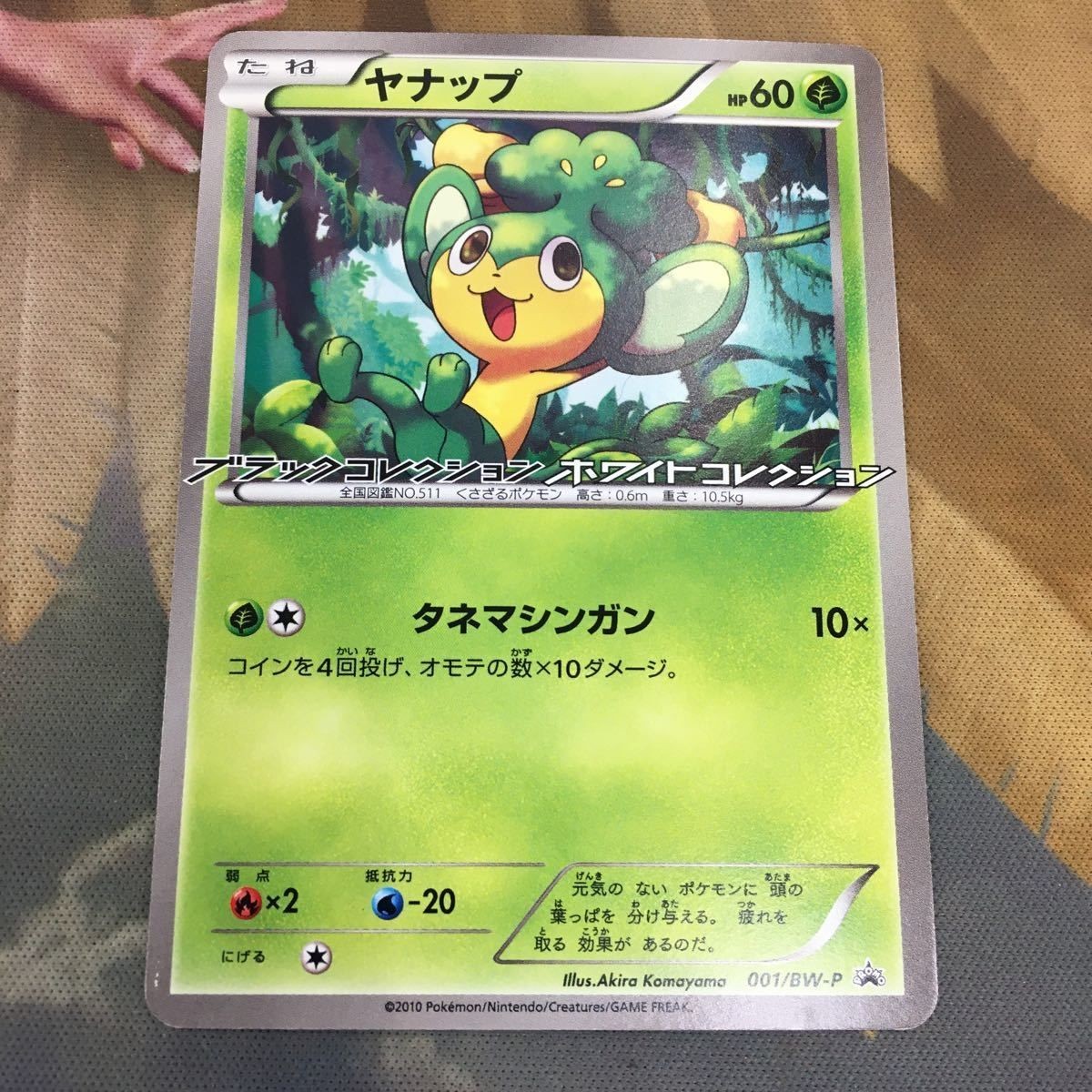 ポケモンカード 新裏面 プロモ 1枚 ヤナップ ブラックコレクション ホワイトコレクション 56