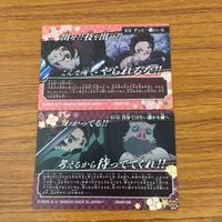 カード トレカ まとめ 鬼滅の刃 竈門 炭治郎 累 魘夢 白髪 黒髪 1 サムネイル 4
