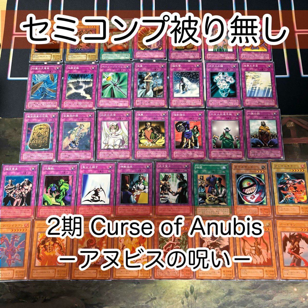 Curse of Anubis アヌビスの呪い ノーマル フルコンプ 被り無しコレクション 2期 遊戯王 セミコンプ CA