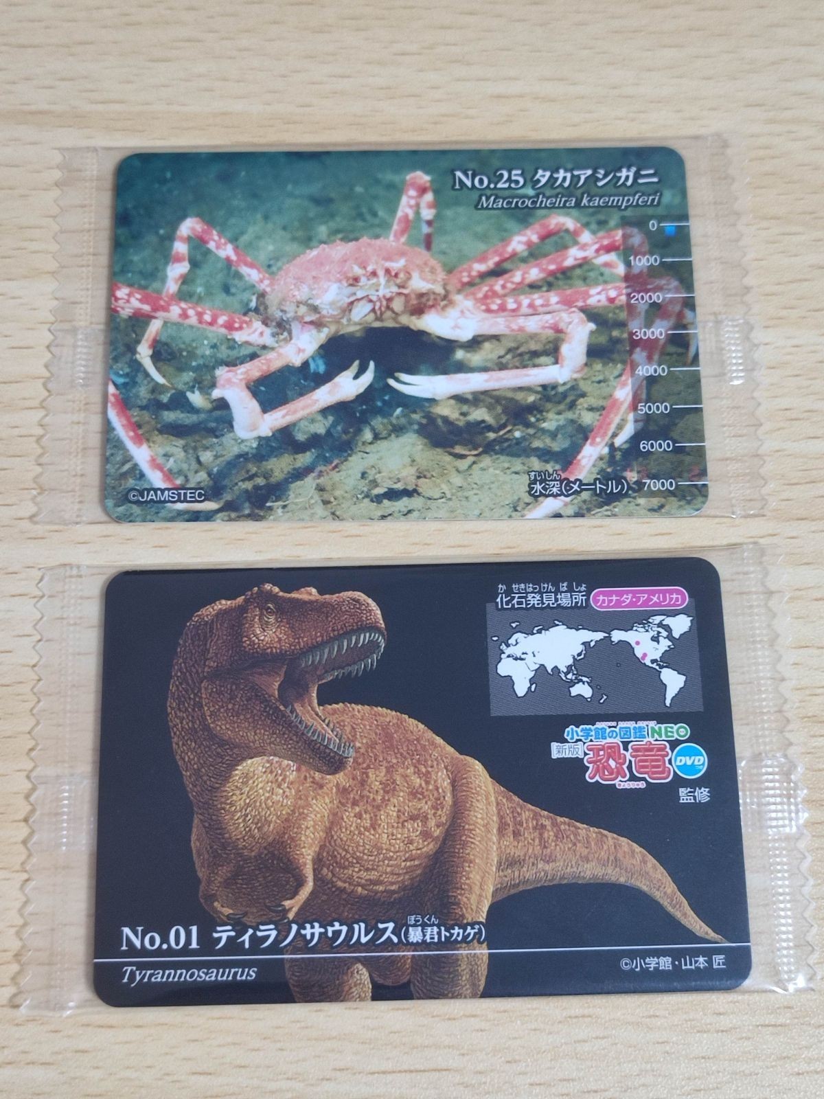 ティラノサウルス 生物図鑑 カード タカアシガニ