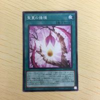 遊戯王 ノーマル カード トレーディングカード 聖蔓の播種 まとめ サムネイル 4