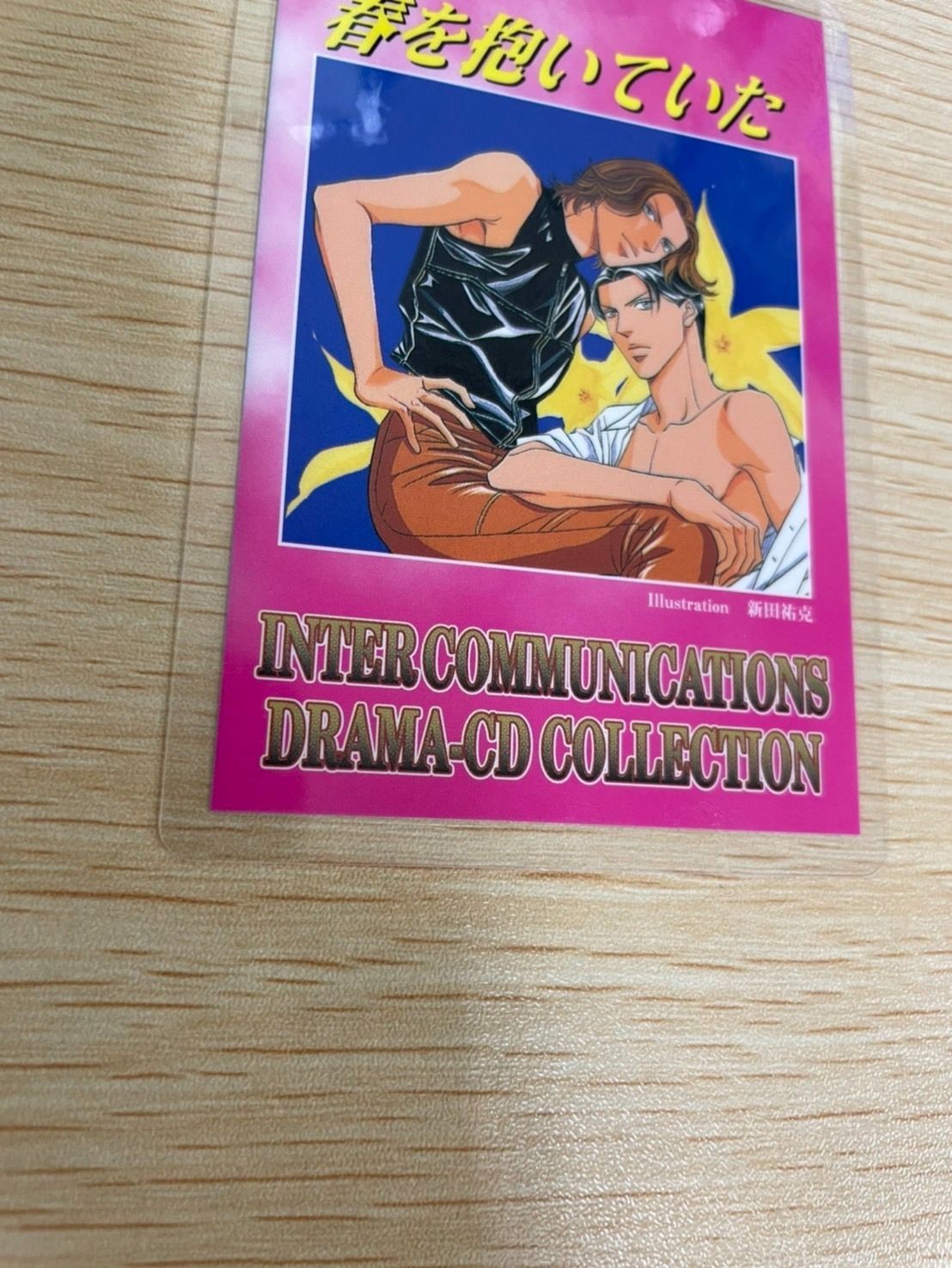 カード 春を抱いていた ラミネート ラミカ 非売品 新田祐克