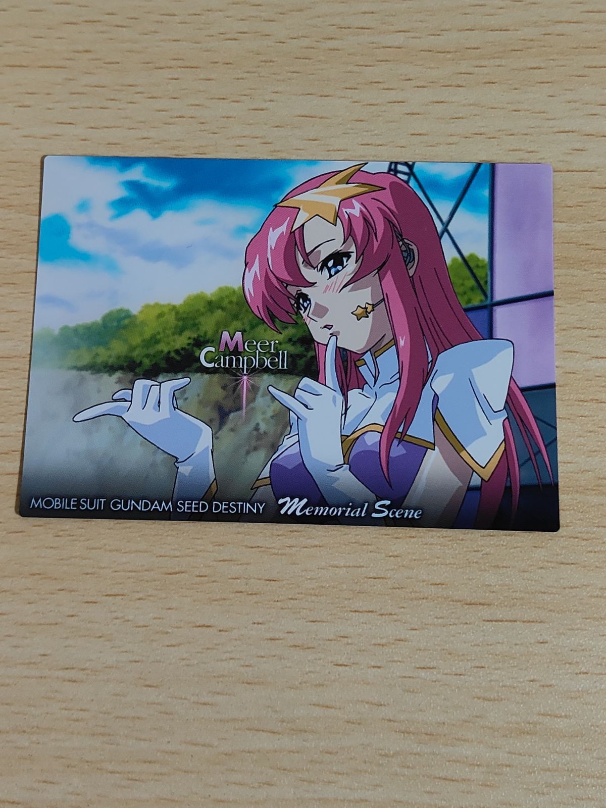ガンダムSEED DESTINY カード カードダスマスターズ ミーアキャンベル ミーア・キャンベル 95