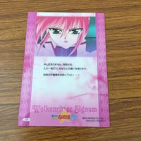 カード トレカ まとめ 魔法少女 リリカル なのは テスサロッタ ファミリー シグナム 14 サムネイル 10