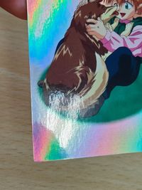 SP5 ミハエル 初版 ムービック movic 爆走兄弟レッツ＆ゴー!! パーフェクトコレクション カード トレカ ミニ四駆 サムネイル 5